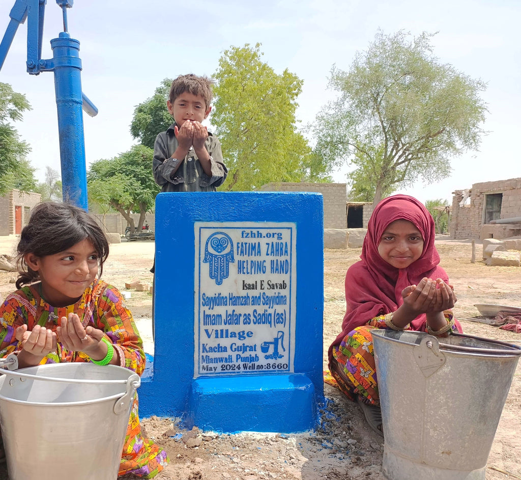 Punjab, Pakistan – Sayyidina Hamzah and Sayyidina Imam Jafar as Sadiq (as) – FZHH Water Well# 3660