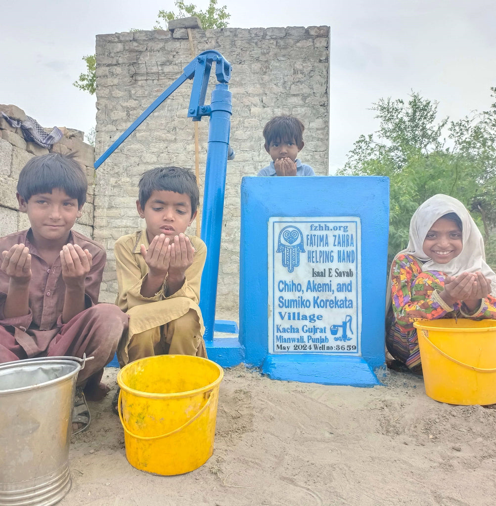 Punjab, Pakistan – Chico, Akemi, and Sumiko Korekata – FZHH Water Well# 3659