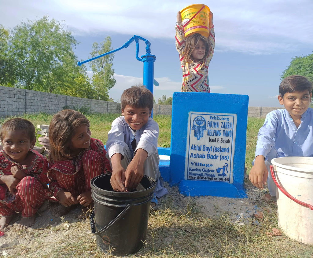 Punjab, Pakistan – Ahlul Bayt (as) and Ashab Badr (as) – FZHH Water Well# 3646