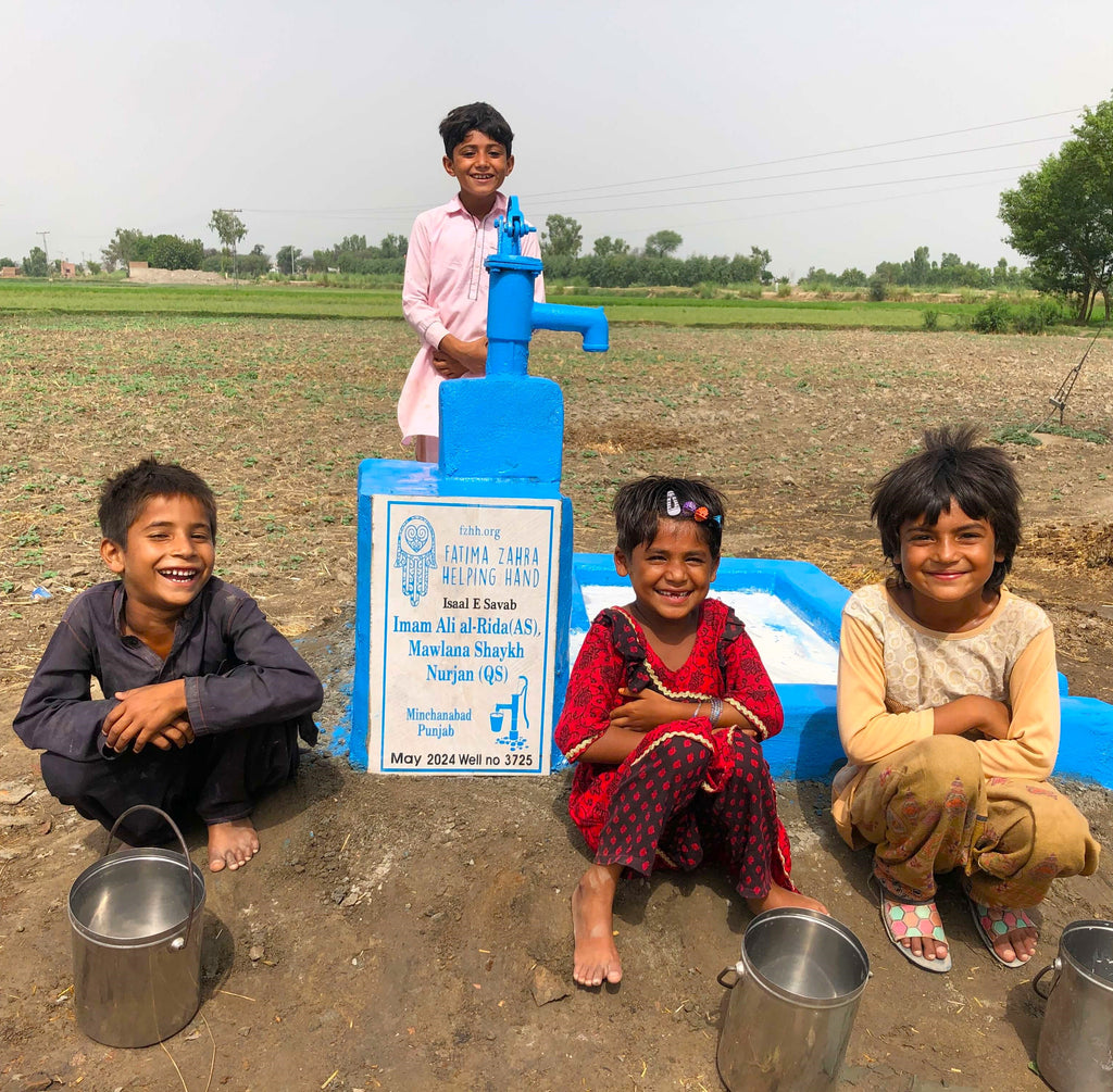 Punjab, Pakistan – Imam Ali al-Rida (AS), Mawlana Shaykh Nurjan (QS) – FZHH Water Well# 3725