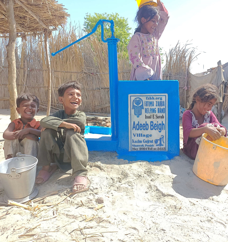 Punjab, Pakistan – Adeeb Beigh – FZHH Water Well# 3613