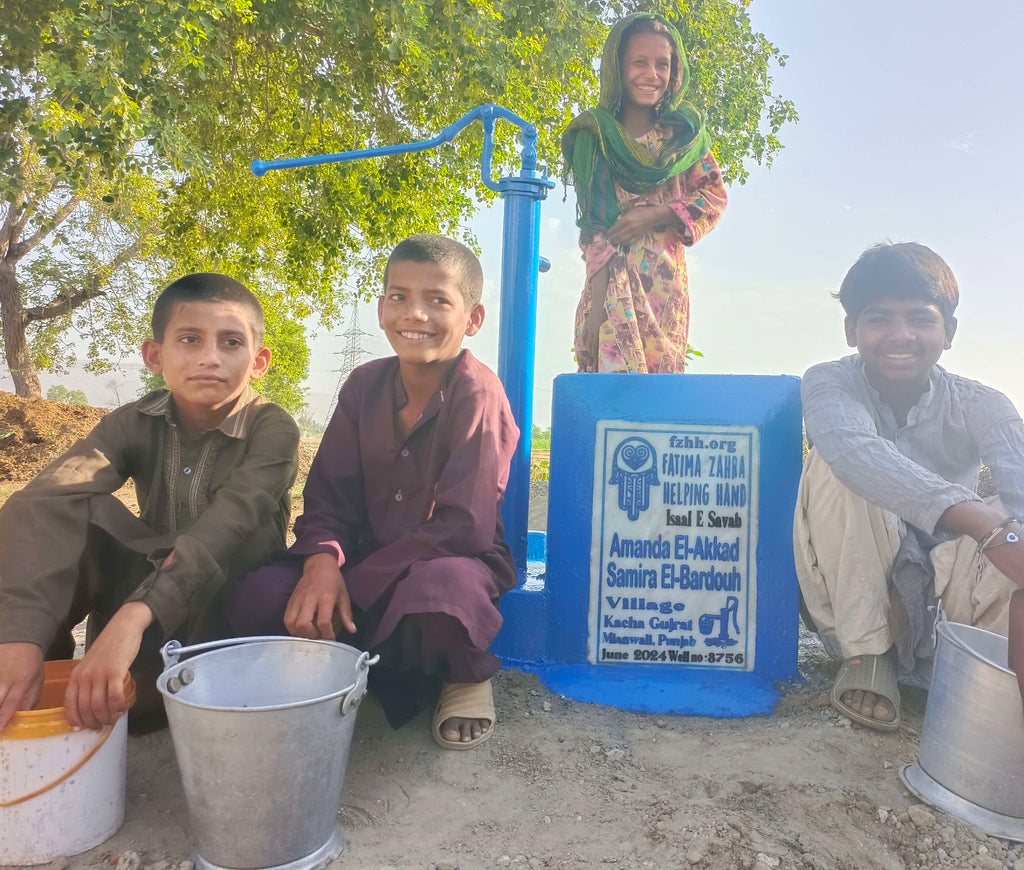 Punjab, Pakistan – Amanda El-Akkad Samira El-Bardouh – FZHH Water Well# 3756