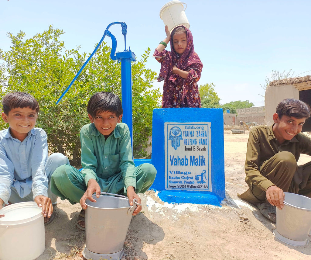 Punjab, Pakistan – Vahab Malik – FZHH Water Well# 3748