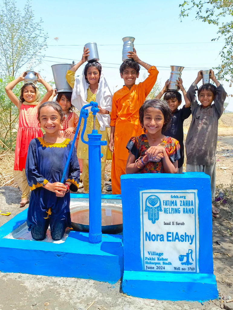 Sindh, Pakistan – Nora EIAshy – FZHH Water Well# 3769