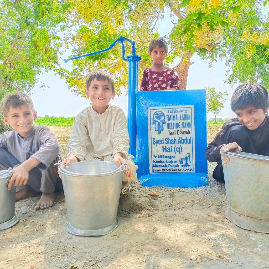 Punjab, Pakistan – Syed Shah Abdul Hai (q) – FZHH Water Well# 3753