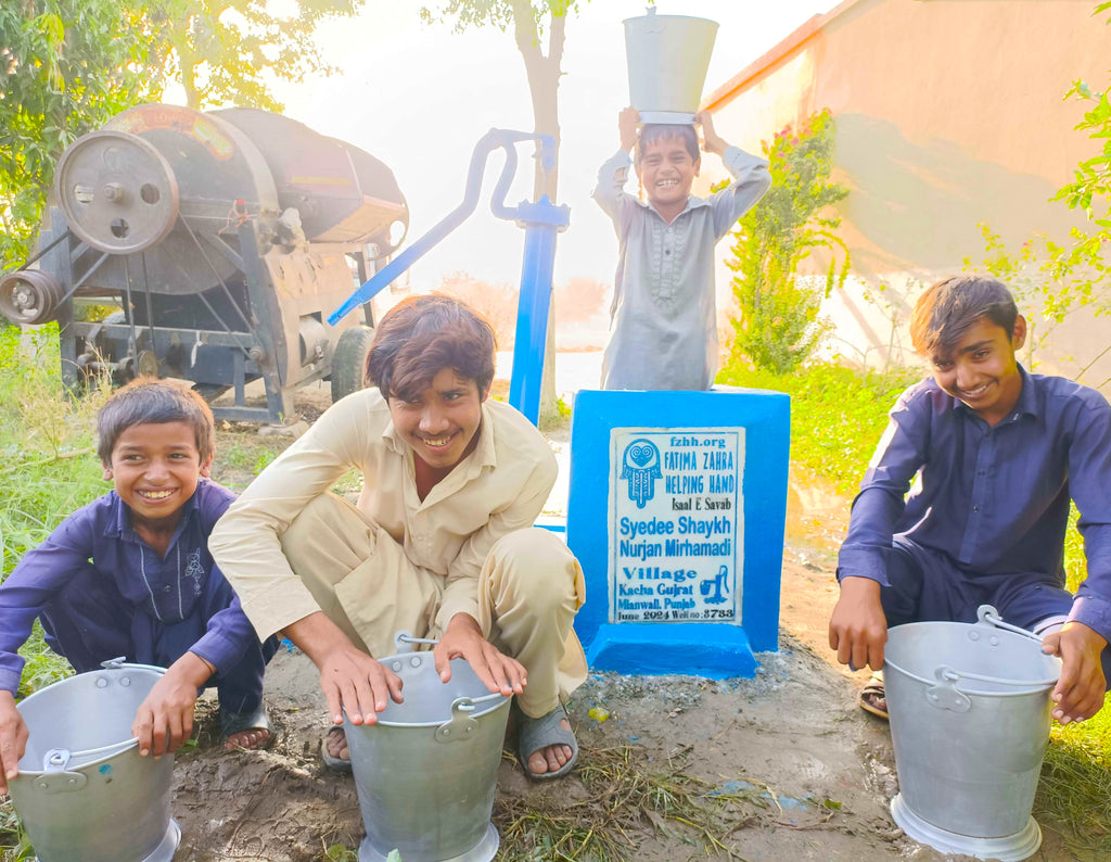 Punjab, Pakistan – Syedee Sheikh Nurjan Mirahmadi – FZHH Water Well# 3733