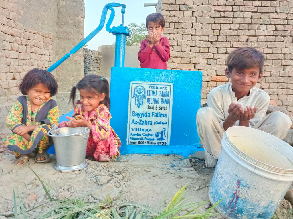 Punjab, Pakistan – Sayyida Fatima Zahra Al-Zahra عليه السلام – FZHH Water Well# 3759