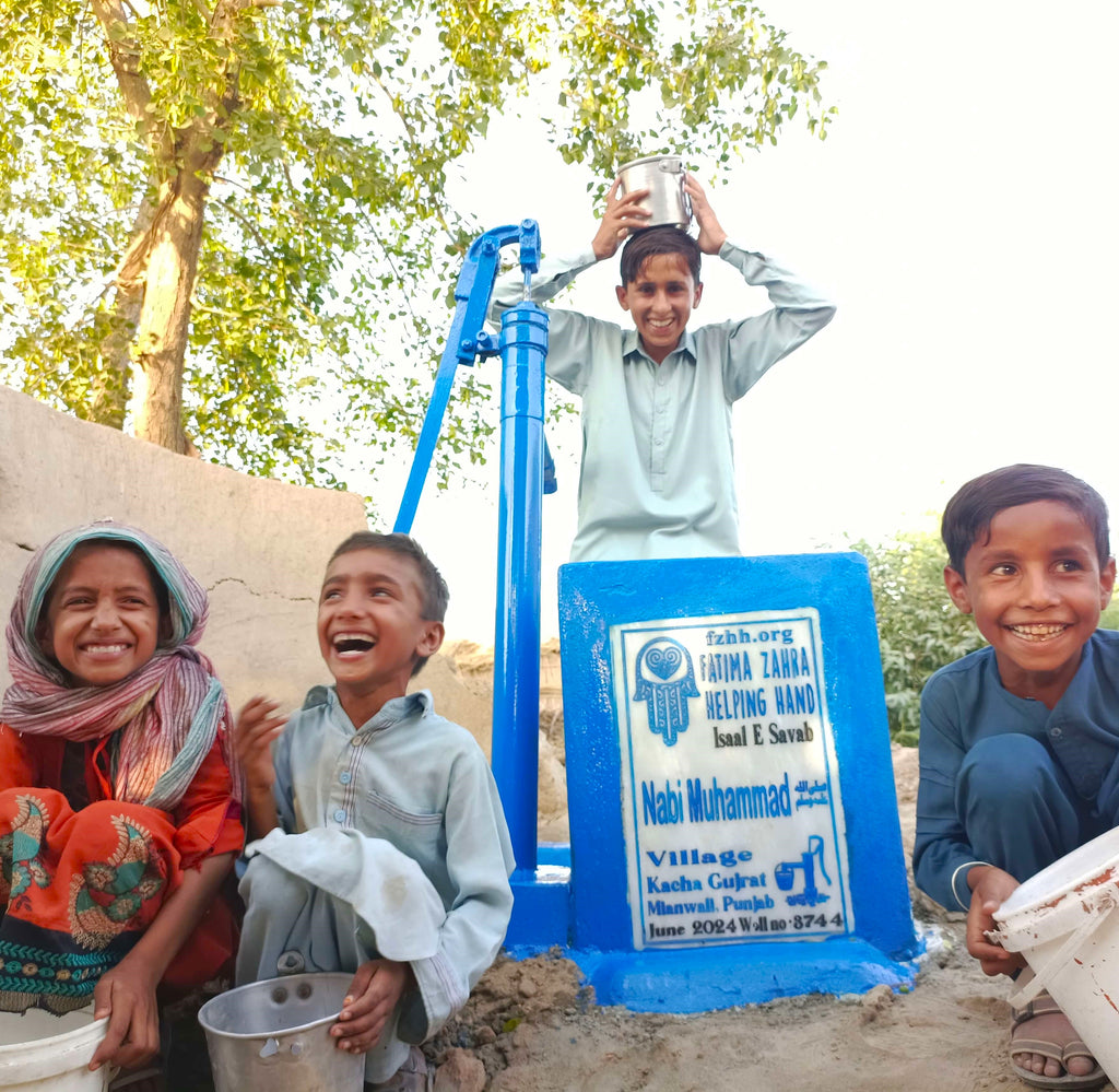 Punjab, Pakistan – Nabi Muhammad ﷺ – FZHH Water Well# 3744