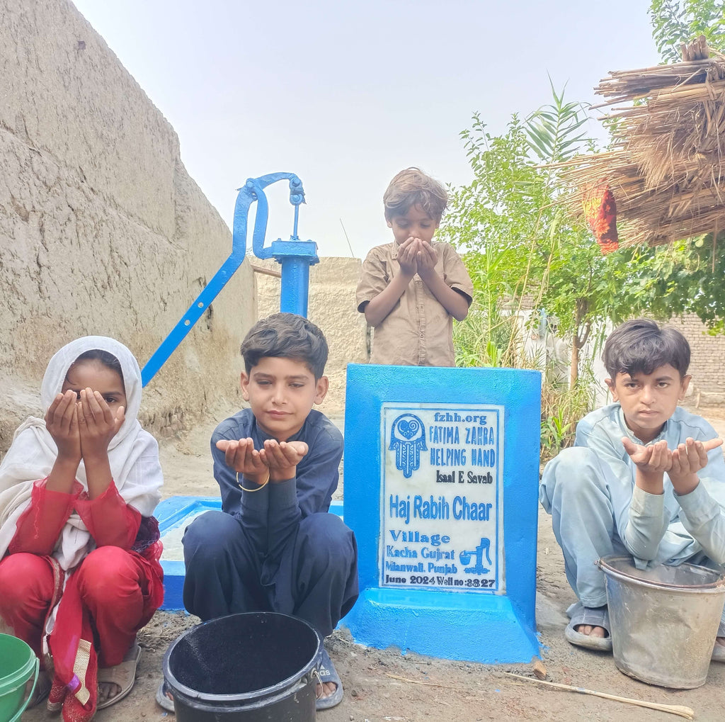 Punjab, Pakistan – Haj Rabih Chaar – FZHH Water Well# 3827