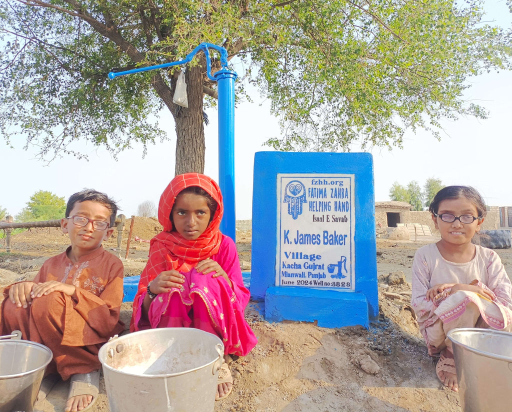 Punjab, Pakistan – K. James Baker – FZHH Water Well# 3828