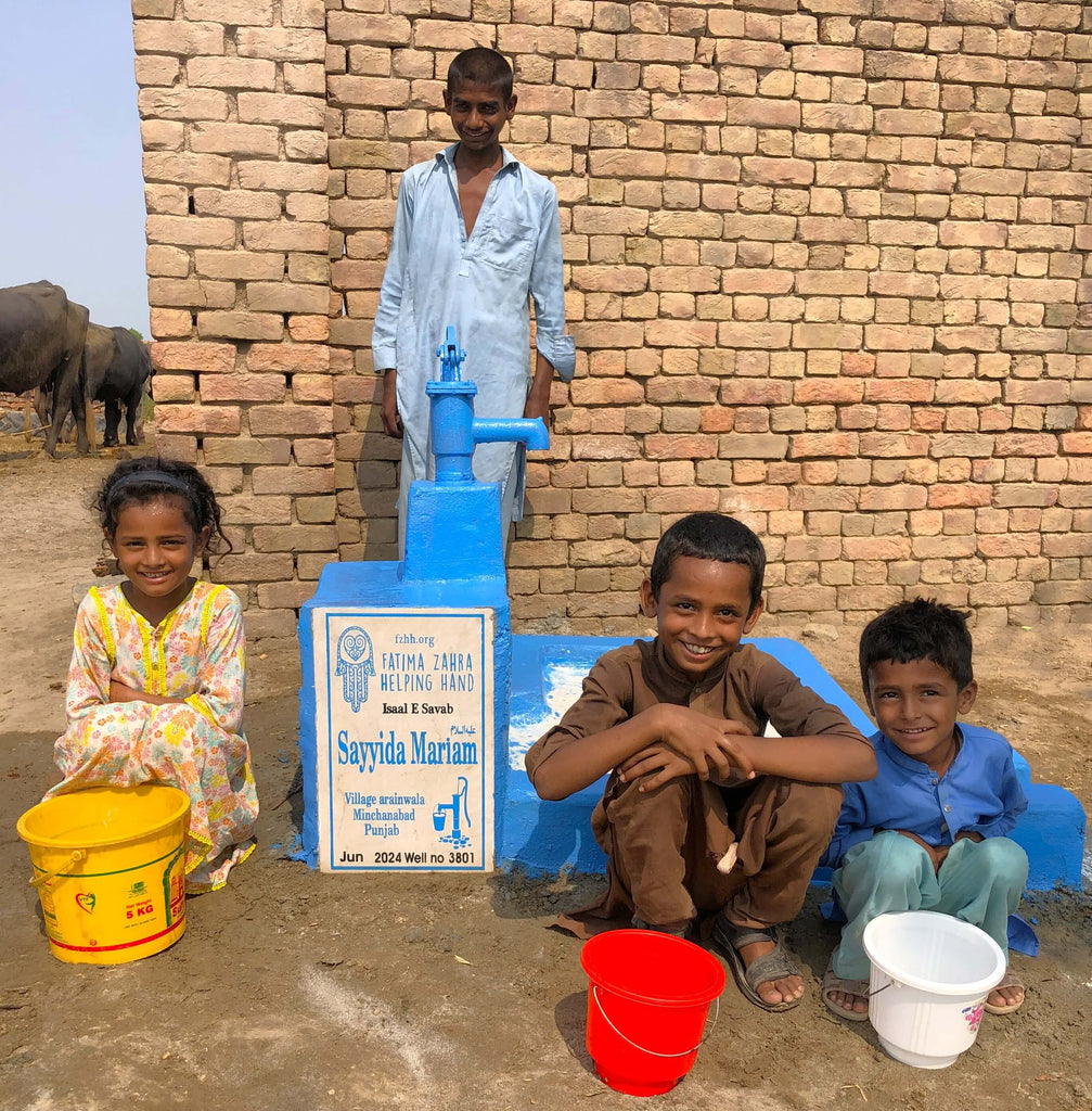 Punjab, Pakistan – Sayyida Mariam علیہ السلام – FZHH Water Well# 3801