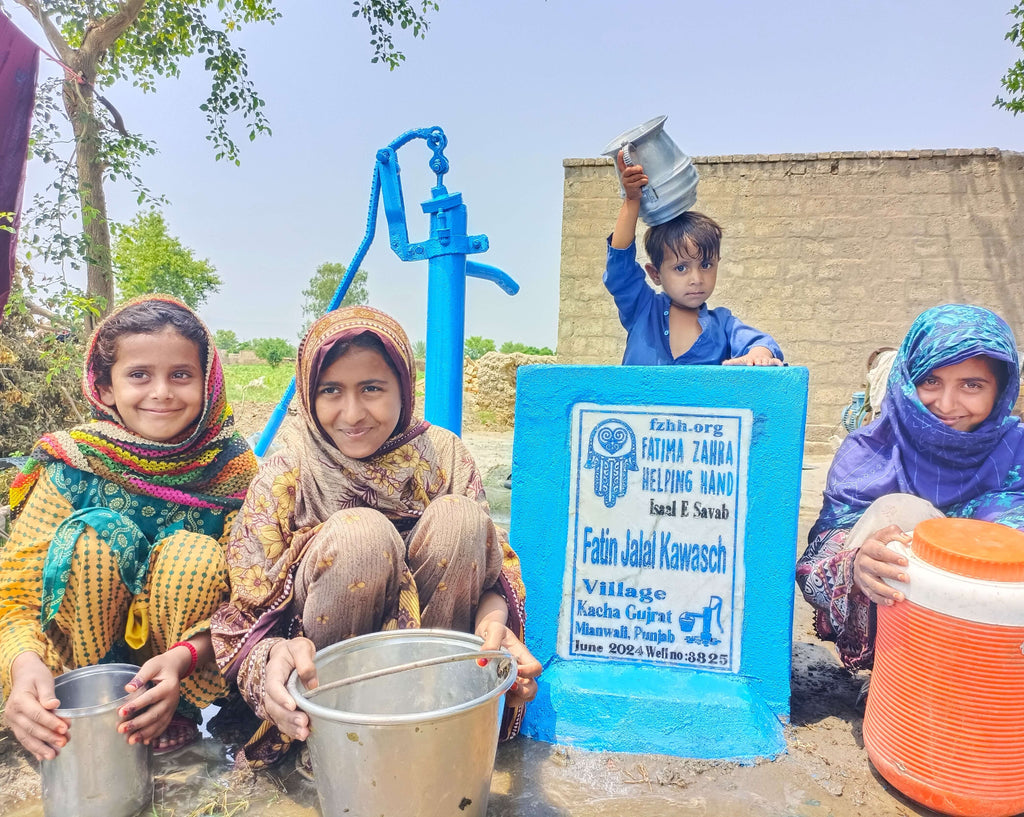 Punjab, Pakistan – Fatin Jalal Kawasch – FZHH Water Well# 3825