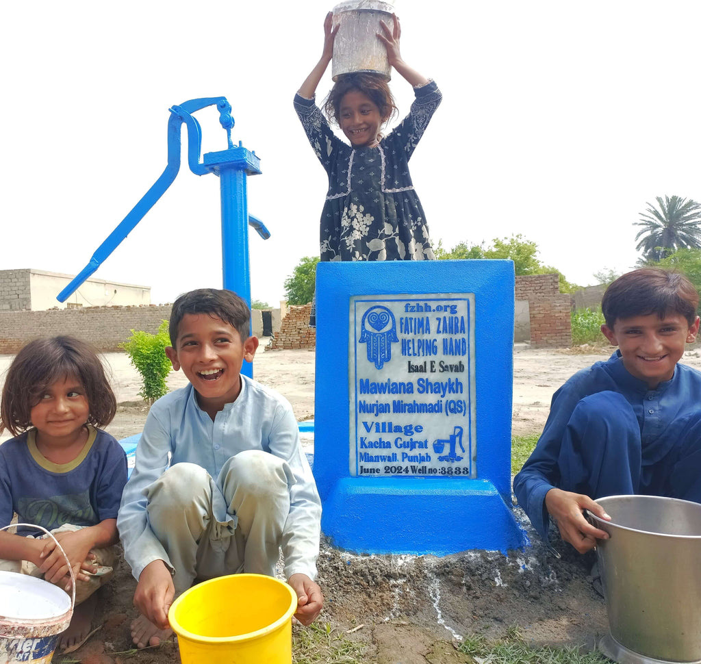 Punjab, Pakistan – Mawlana Shaykh Nurjan Mirahmadi (QS) – FZHH Water Well# 3833