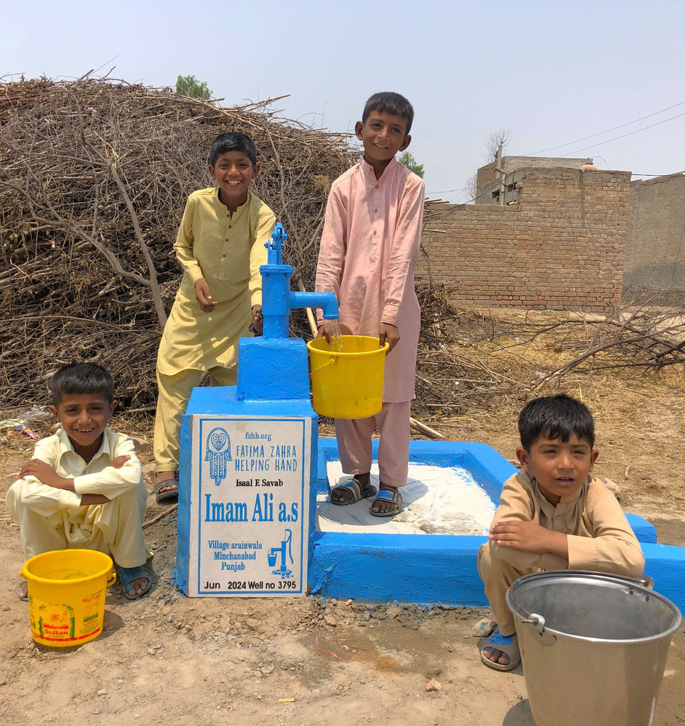 Punjab, Pakistan – Imam Ali a.s – FZHH Water Well# 3795