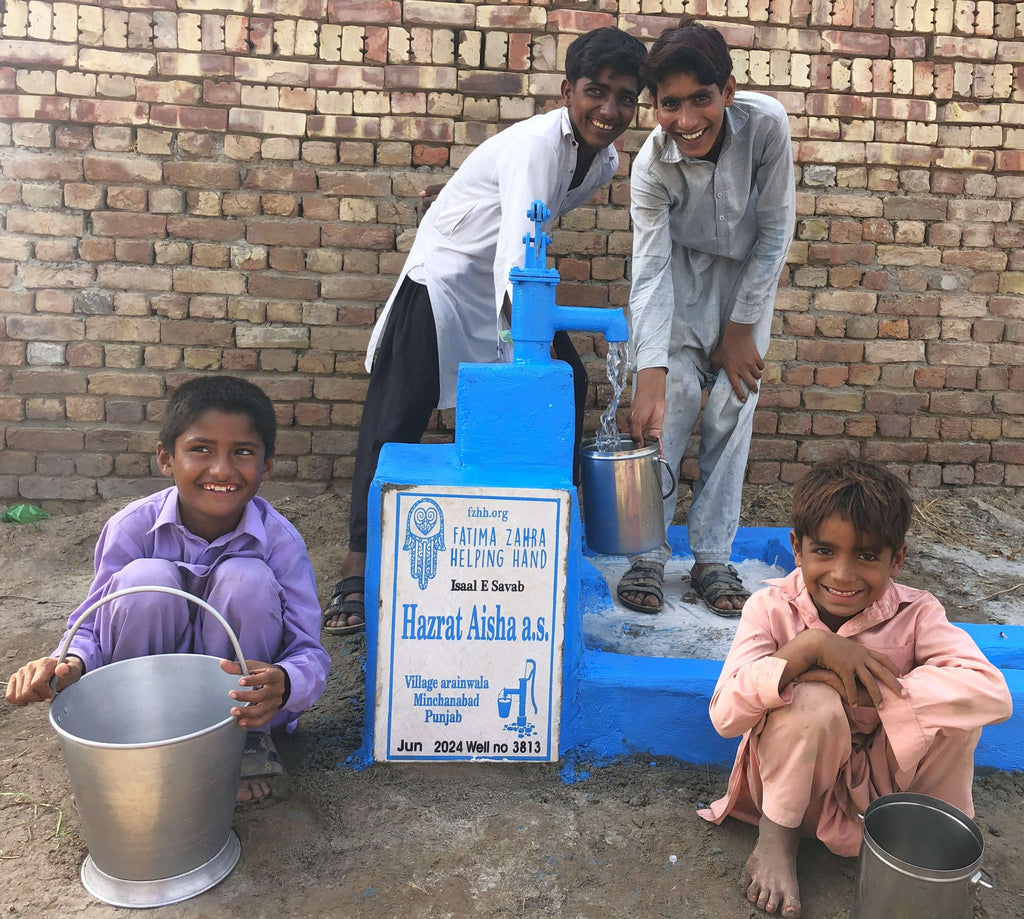 Punjab, Pakistan – Hazrat Aisha a.s – FZHH Water Well# 3813