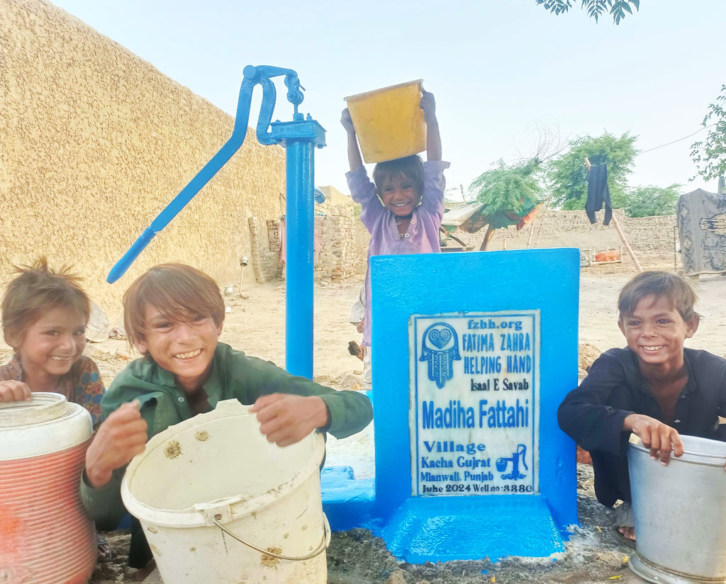 Punjab, Pakistan – Madiha Fattahi – FZHH Water Well# 3880