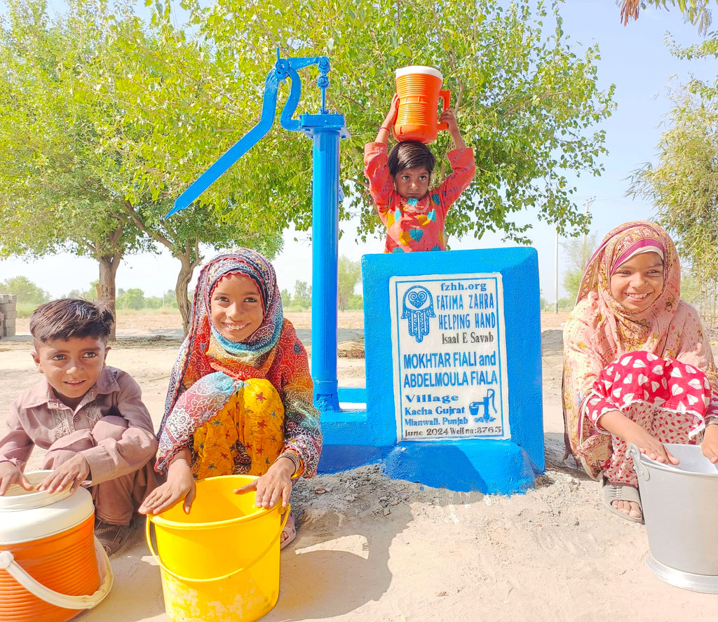 Punjab, Pakistan – MOKHTAR FIALI and ABDELMOULA FIALA – FZHH Water Well# 3765