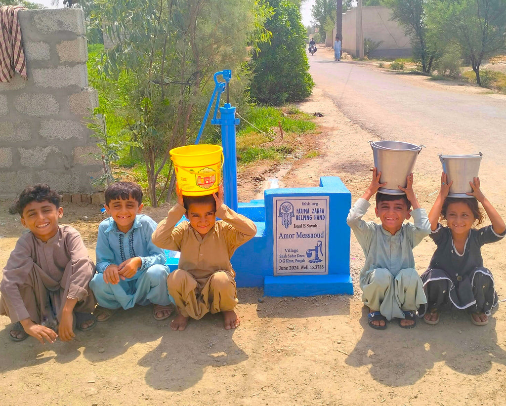 Punjab, Pakistan – Amor Messaoud – FZHH Water Well# 3786