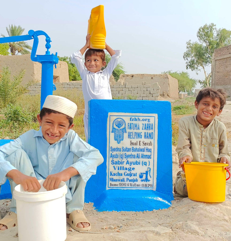 Punjab, Pakistan – Syedna Sultan Bahalwal Haq Ayubi (q), Syedna Ali Ahmed Sabir Ayubi – FZHH Water Well# 3878