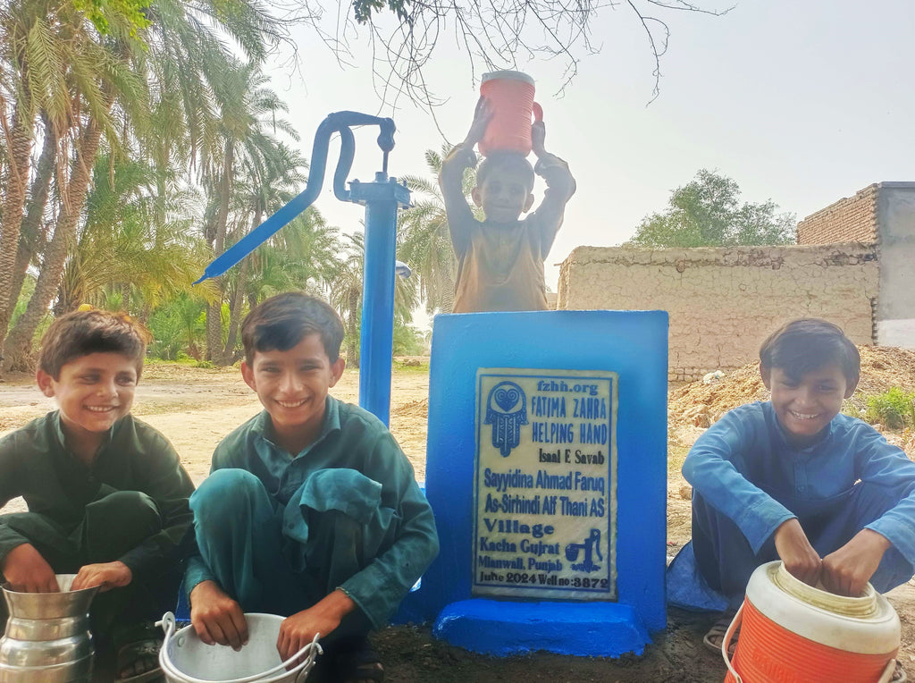 Punjab, Pakistan – Sayyidina Ahmed Faruq As-Sirhindi Alf Thani AS – FZHH Water Well# 3872