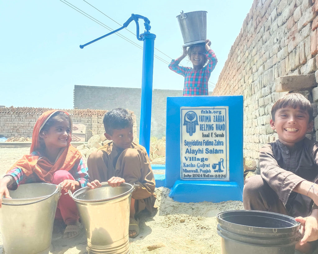 Punjab, Pakistan – Sayyidatina Fatima Zahra Alayhi Salam – FZHH Water Well# 3874