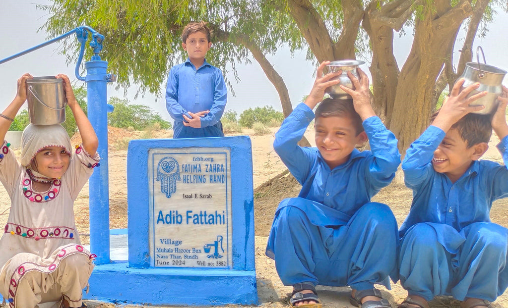 Sindh, Pakistan – Adib Fattahi – FZHH Water Well# 3882