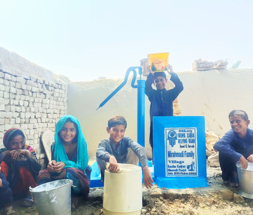 Punjab, Pakistan – Mirahmadi Family – FZHH Water Well# 3993