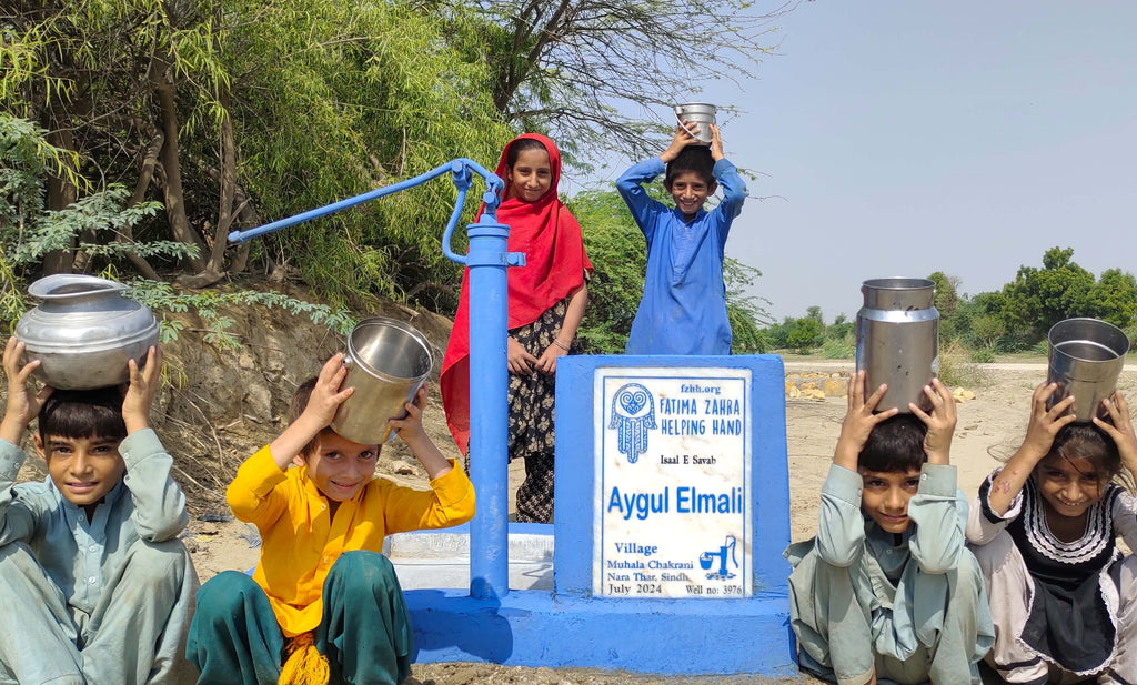 Sindh, Pakistan – Aygul Elmali – FZHH Water Well# 3976