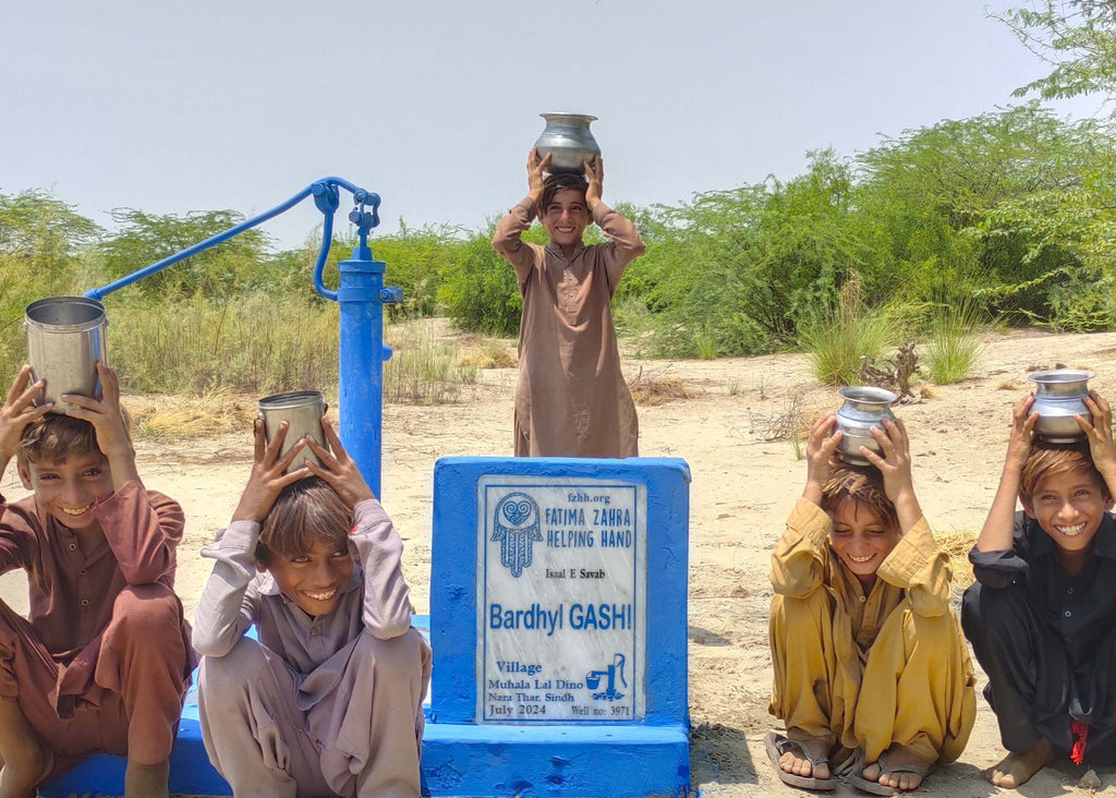 Sindh, Pakistan – Bardhyl GASHI – FZHH Water Well# 3971