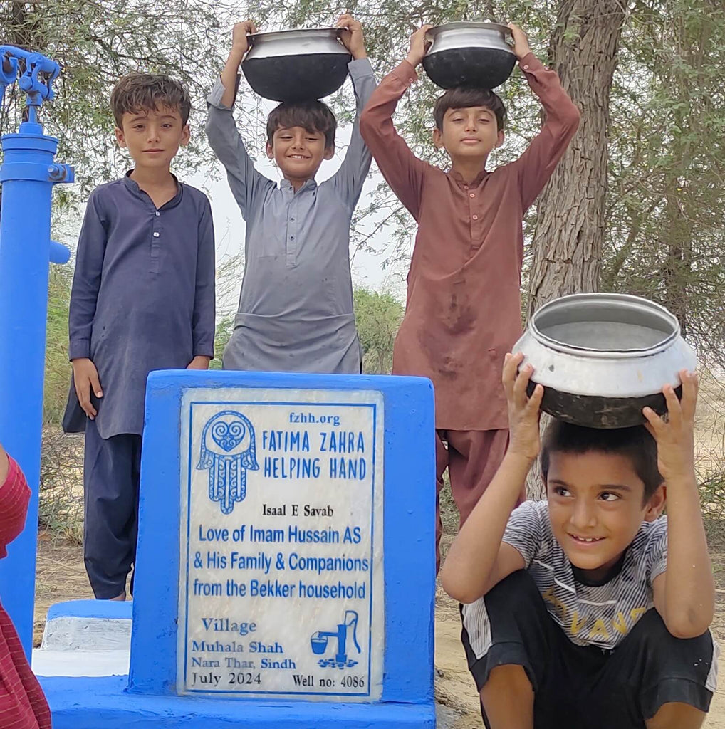 Sindh, Pakistan – Love of Imam Hussain AS and His Family & Companions from the Bekker Household – FZHH Water Well# 4086