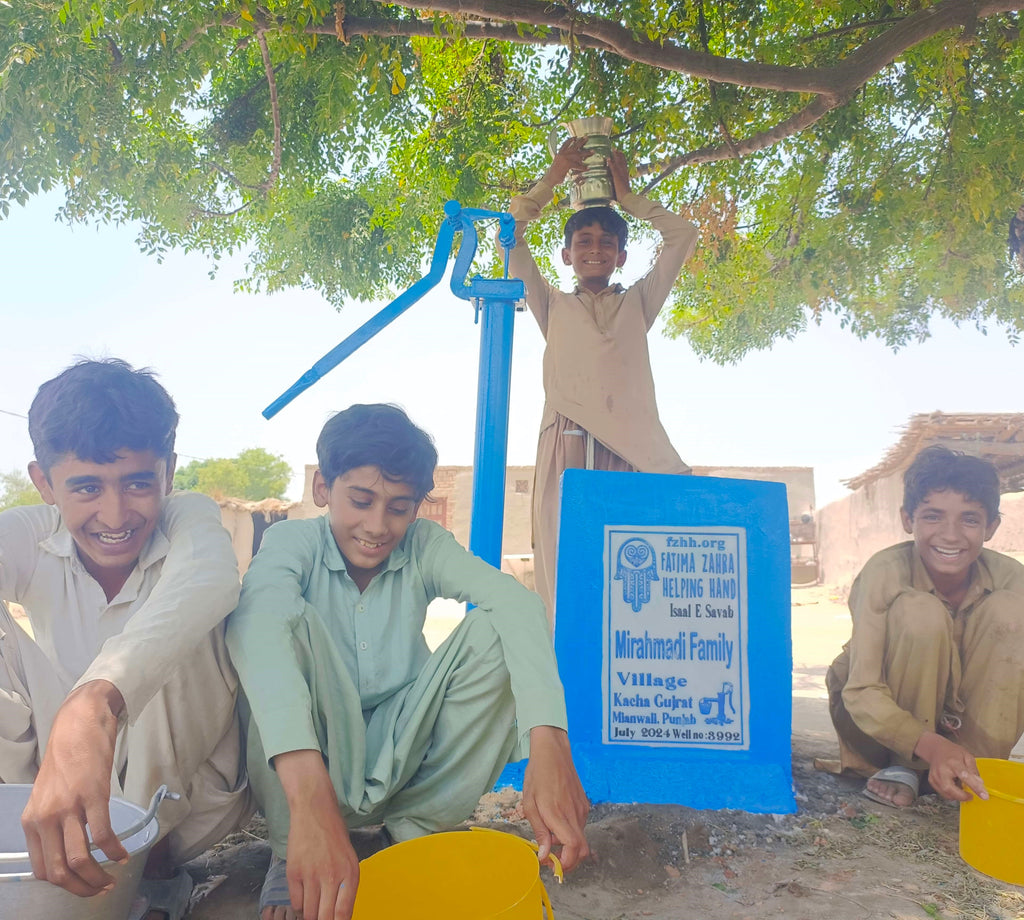 Punjab, Pakistan – Mirahmadi Family – FZHH Water Well# 3992