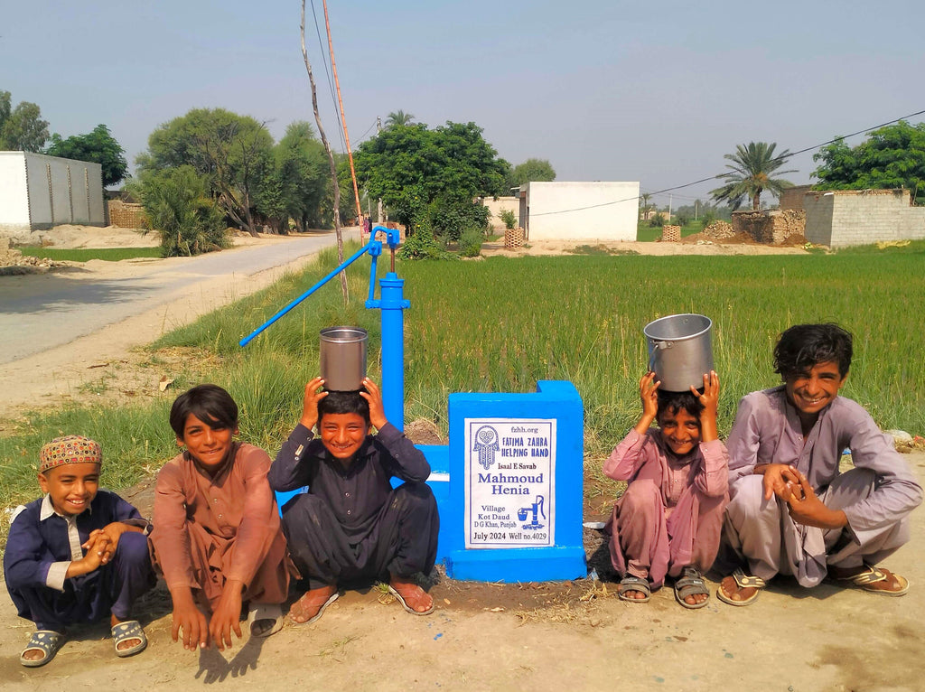 Punjab, Pakistan – Mahmoud Henia – FZHH Water Well# 4029