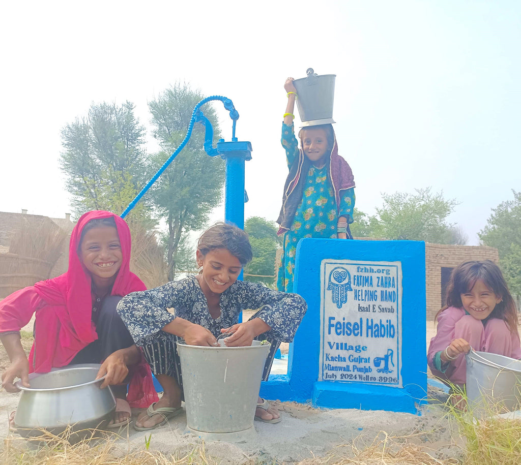 Punjab, Pakistan – Feisel Habib – FZHH Water Well# 3996