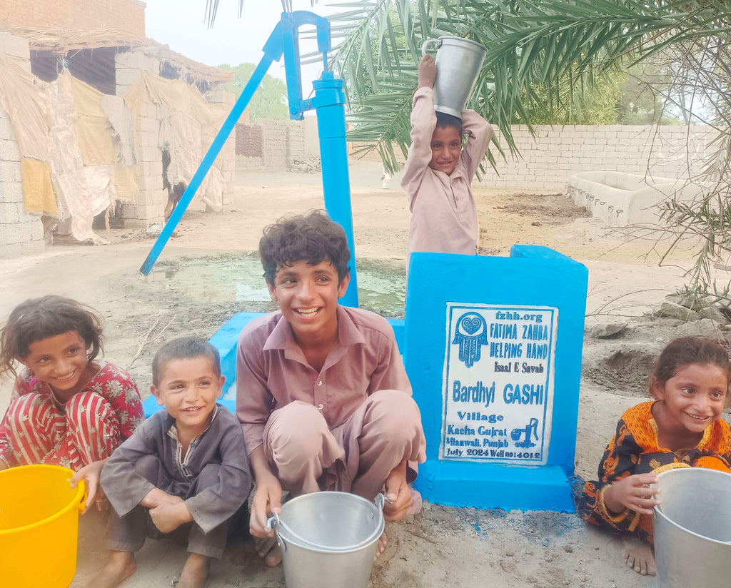 Punjab, Pakistan – Bardhyl GASHl – FZHH Water Well# 4012