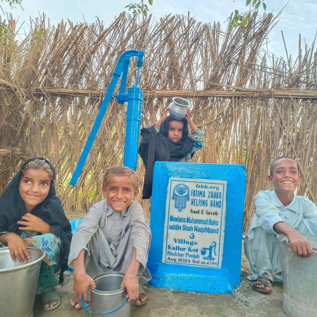 Punjab, Pakistan – Mawlana Muhammad Baha'uddin Shah Naqshband ق – FZHH Water Well# 4190