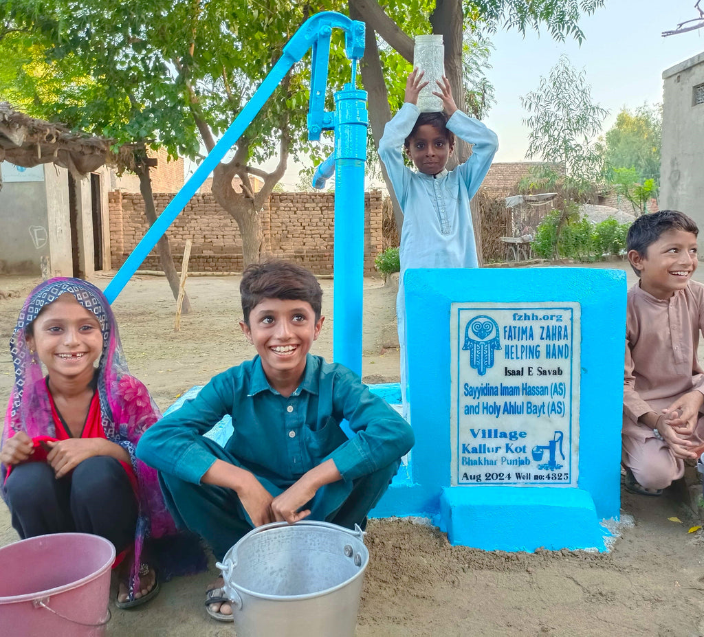 Punjab, Pakistan – Sayyidina Imam Hassan (AS) and Holy Ahlul Bayt (AS) – FZHH Water Well# 4325