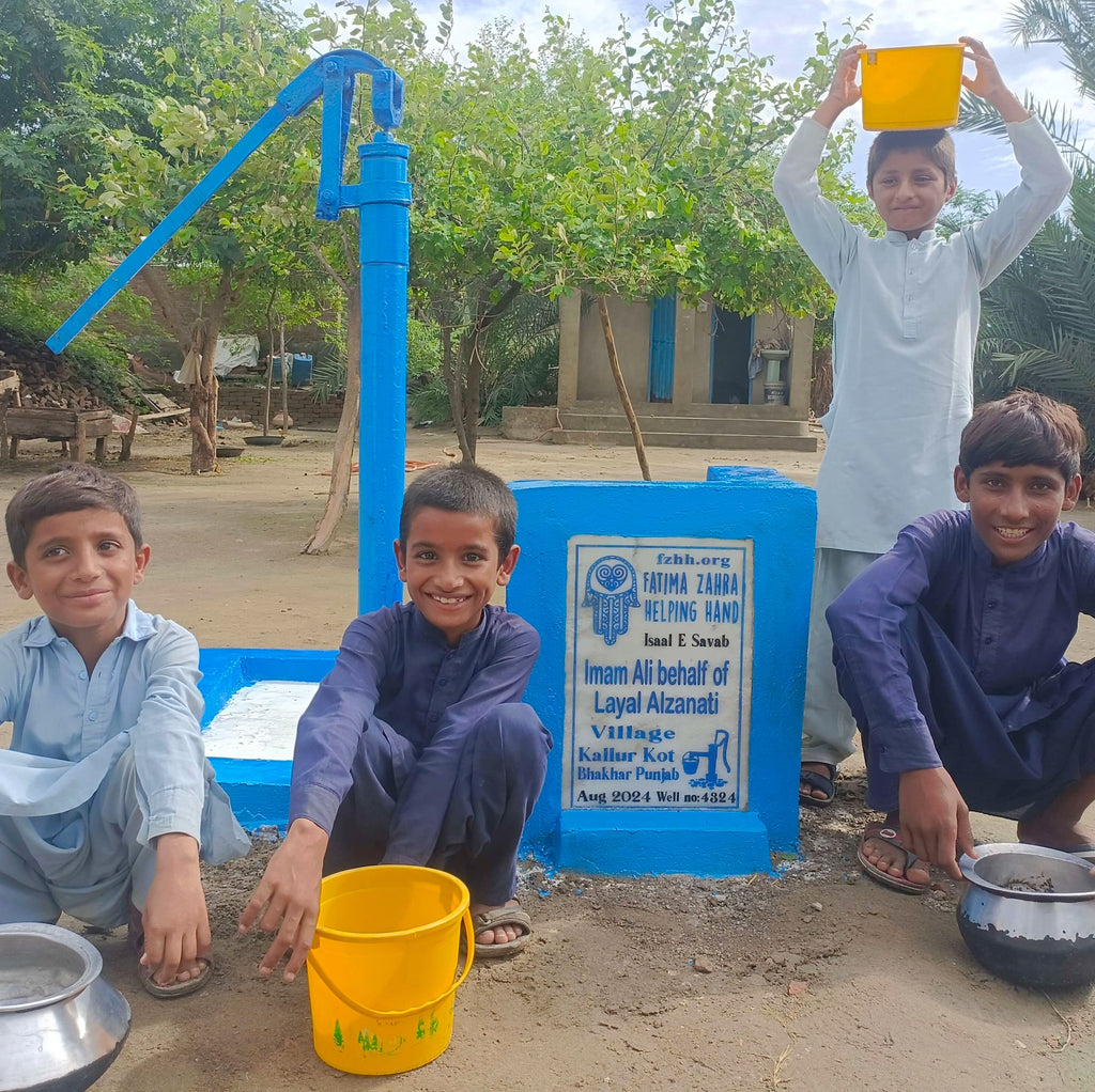 Punjab, Pakistan – Imam Ali behalf of Layal Alzanati – FZHH Water Well# 4324