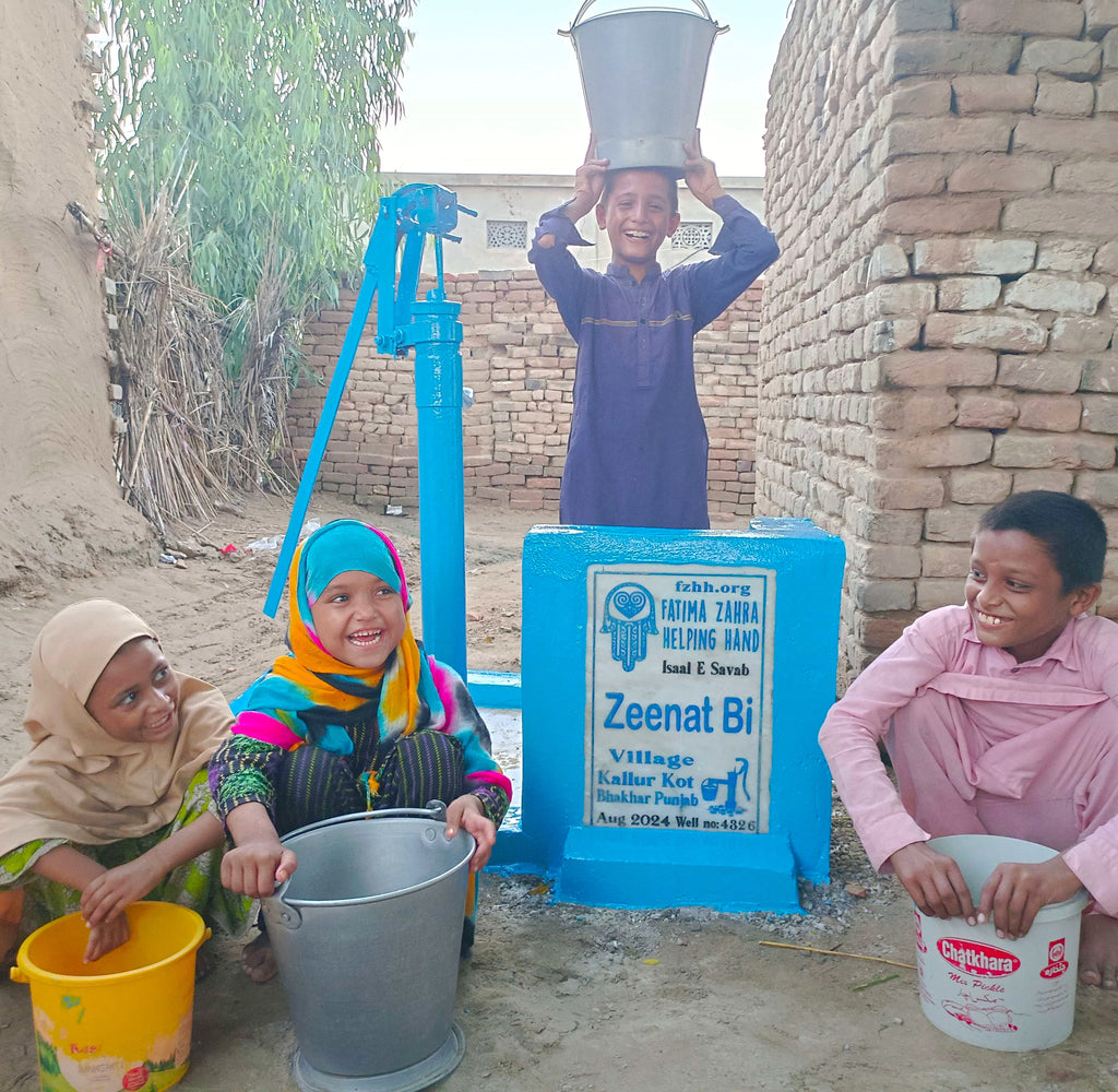 Punjab, Pakistan – Zeenat Bi – FZHH Water Well# 4326