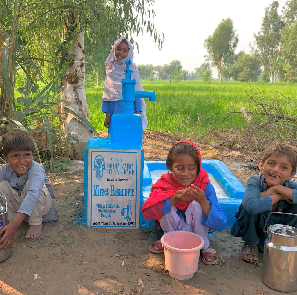 Punjab, Pakistan – Mirzet Hasanovic – FZHH Water Well# 4399