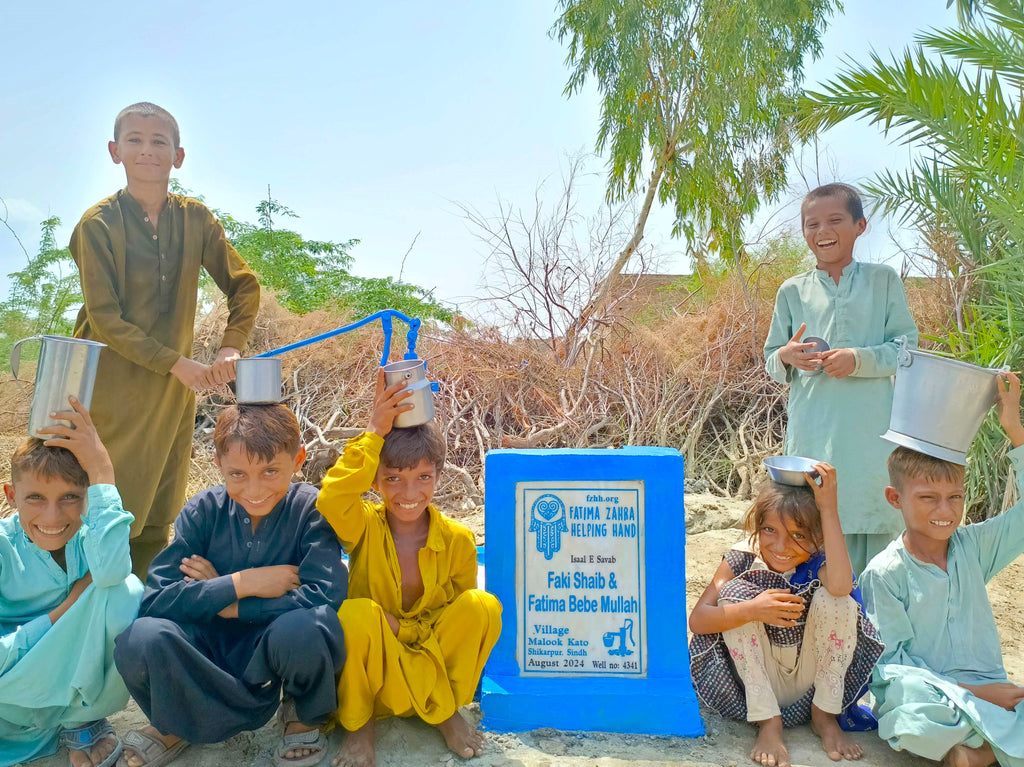 Sindh, Pakistan – Faki Shaib & Fatima Bebe Mullah – FZHH Water Well# 4341