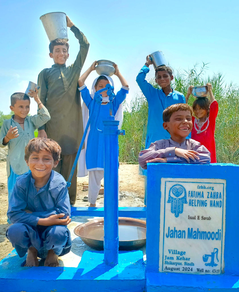 Sindh, Pakistan – Jahan Mahmoodi – FZHH Water Well# 4349