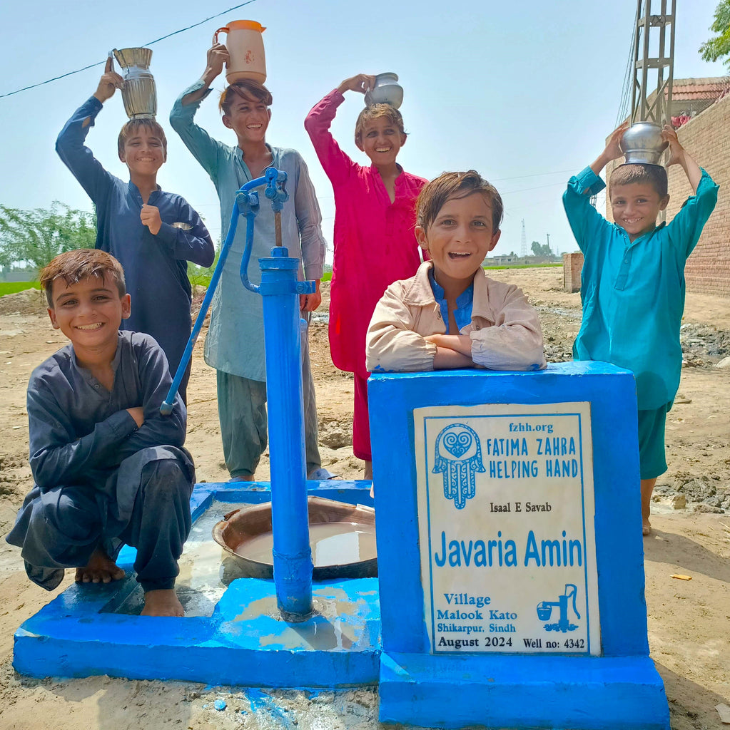 Sindh, Pakistan – Javaria Amin – FZHH Water Well# 4342