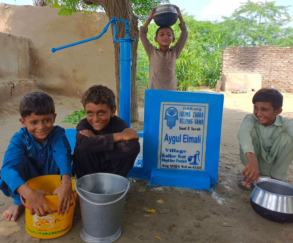 Punjab, Pakistan – Aygul Elmali – FZHH Water Well# 4330