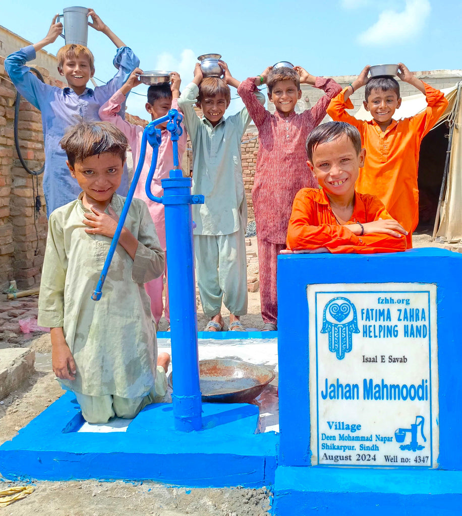 Sindh, Pakistan – Jahan Mahmoodi – FZHH Water Well# 4347