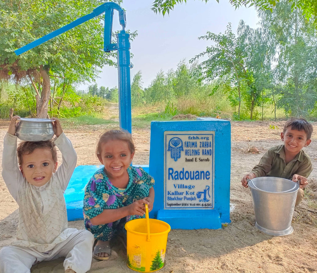 Punjab, Pakistan – Radouane – FZHH Water Well# 4436