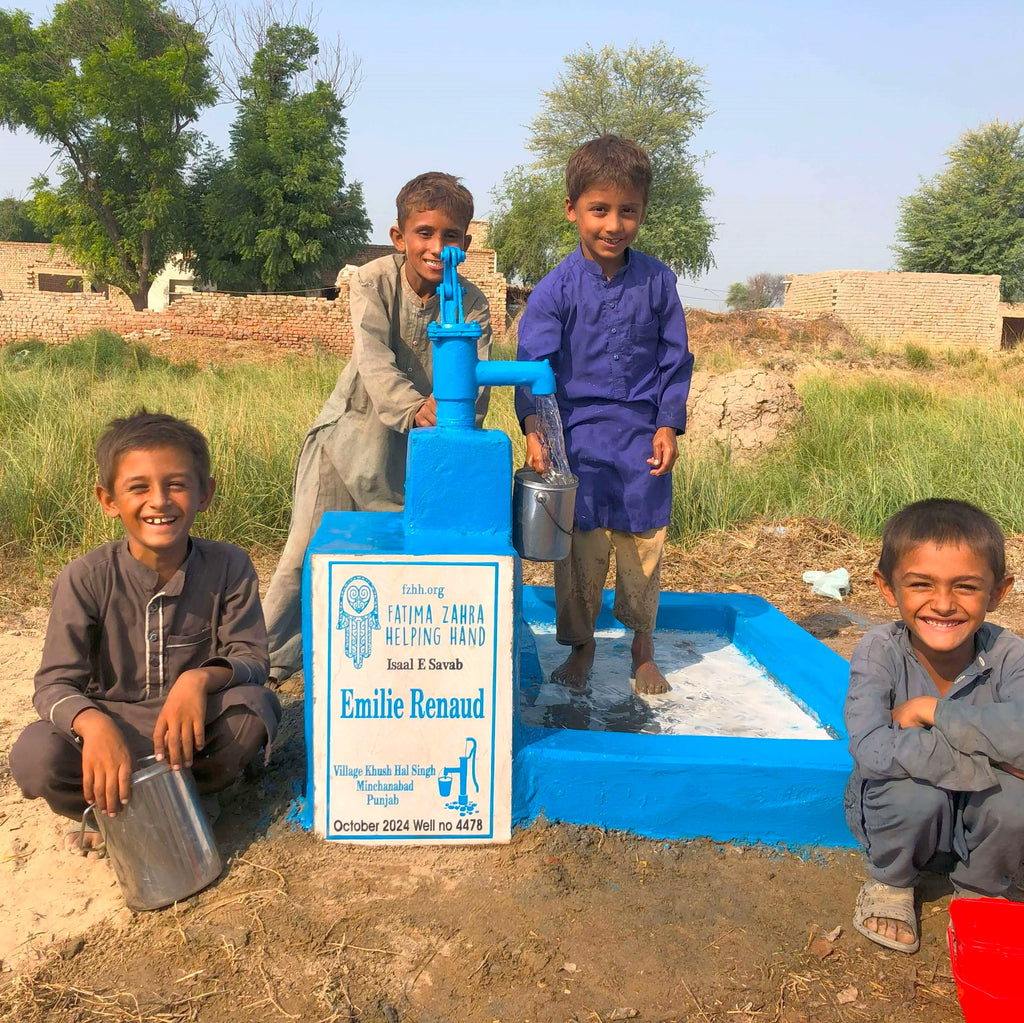 Punjab, Pakistan – Emilie Renaud – FZHH Water Well# 4478