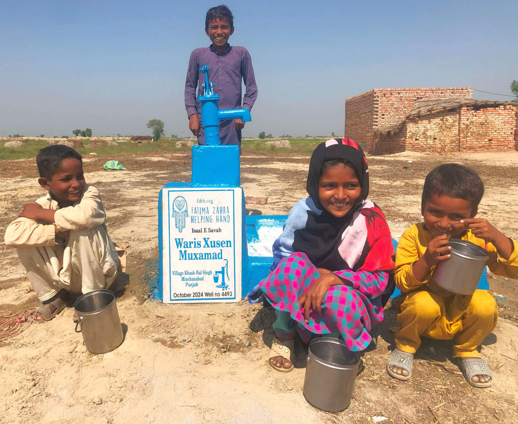 Punjab, Pakistan – Waris Xusen Muxamad – FZHH Water Well# 4493