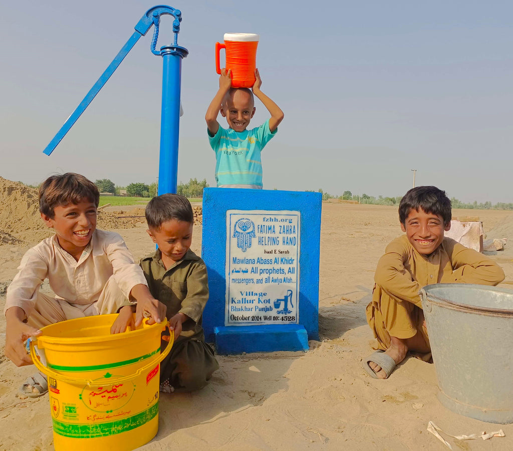 Punjab, Pakistan – Mawlana Abass Al Khidr ‎عليه السلام , All prophets, All messengers, and all Awlya Allah – FZHH Water Well# 4528