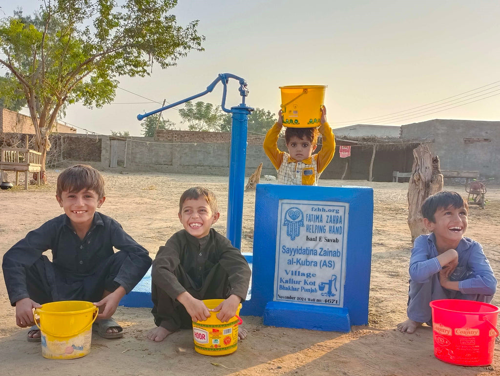 Punjab, Pakistan – Sayyidatina Zainab al-Kubra (AS) – FZHH Water Well# 4671