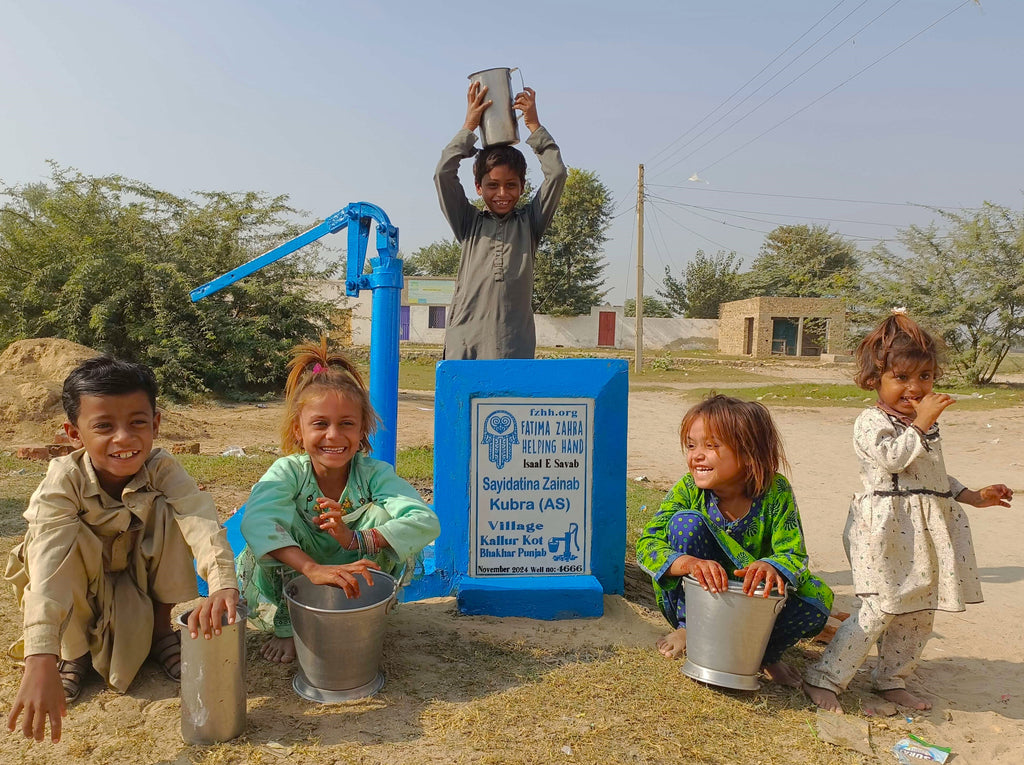 Punjab, Pakistan – Sayidatina Zainab Kubra (AS) – FZHH Water Well# 4666